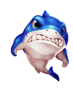 shark